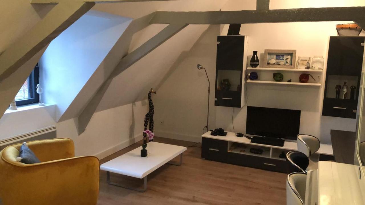 Logement Avec Deux Appartements Sur Deux Etages Wormhout Esterno foto